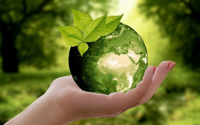 How to Make Your Small Business More Green